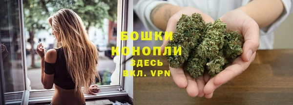 каннабис Беломорск