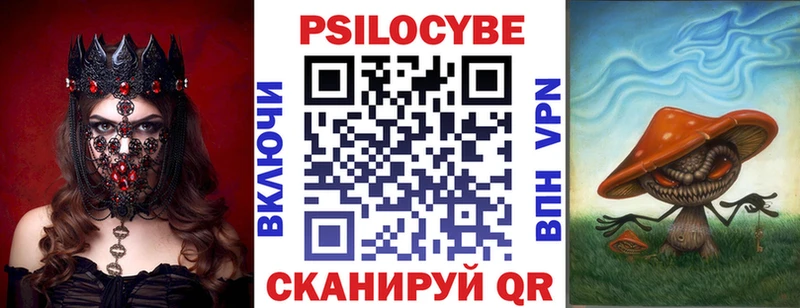 Псилоцибиновые грибы ЛСД где найти Гороховец